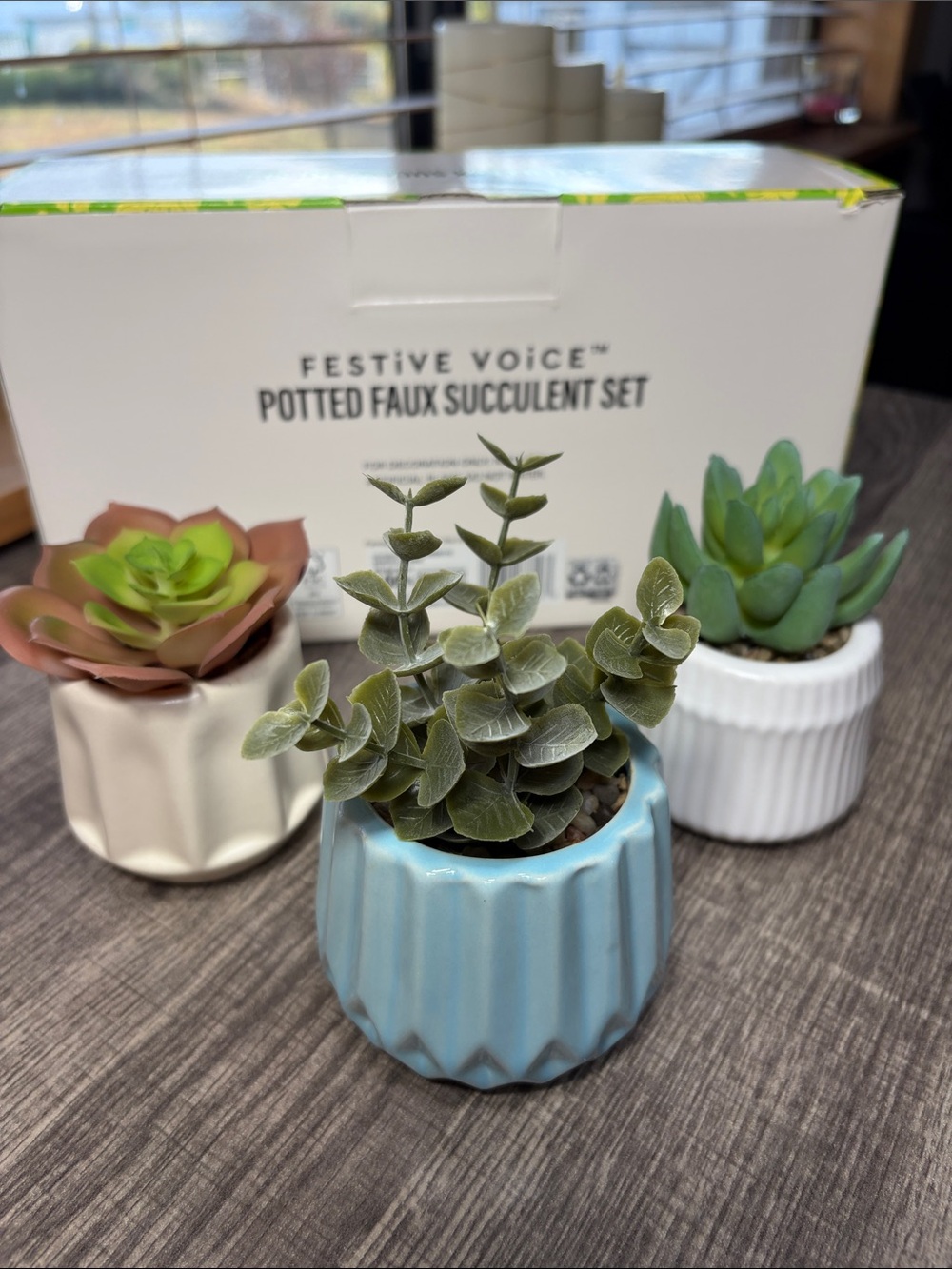 Festive Voice Potted Faux Succulent Set